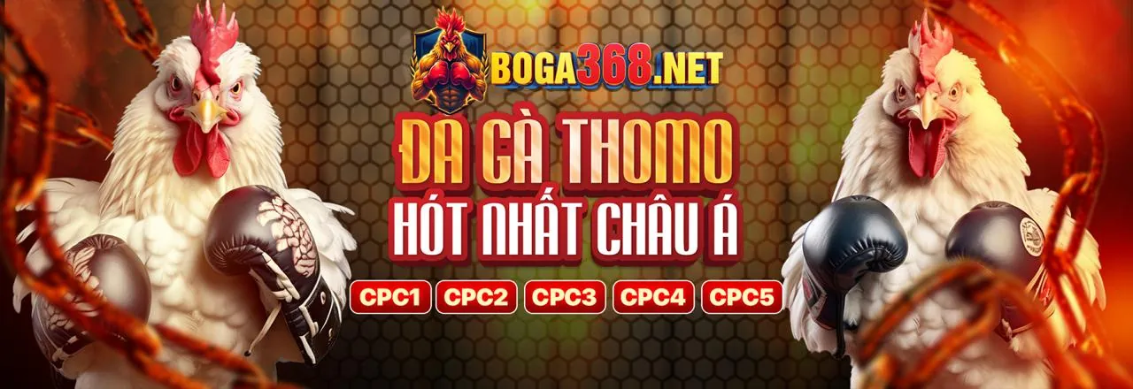 Sân đấu đá gà trực tuyến sôi động tại abu999 link vào